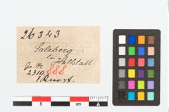 Etikett zu Bronzeringfußknopf (NHMW-PRAE-026343)
